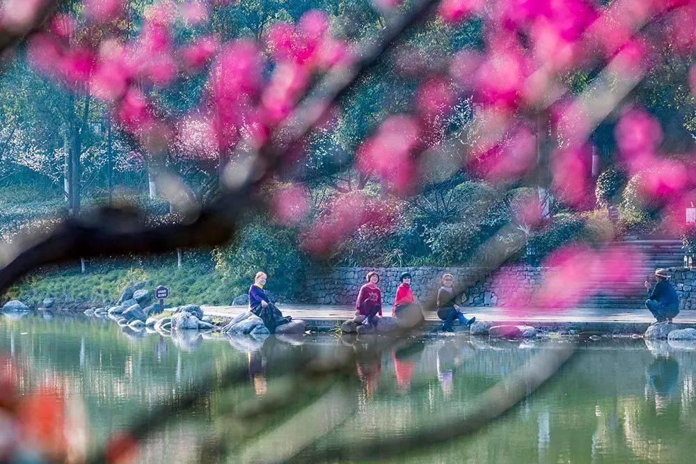 玩具小伙伴的探险之旅,《蛋仔派对》全新赛季即将开启