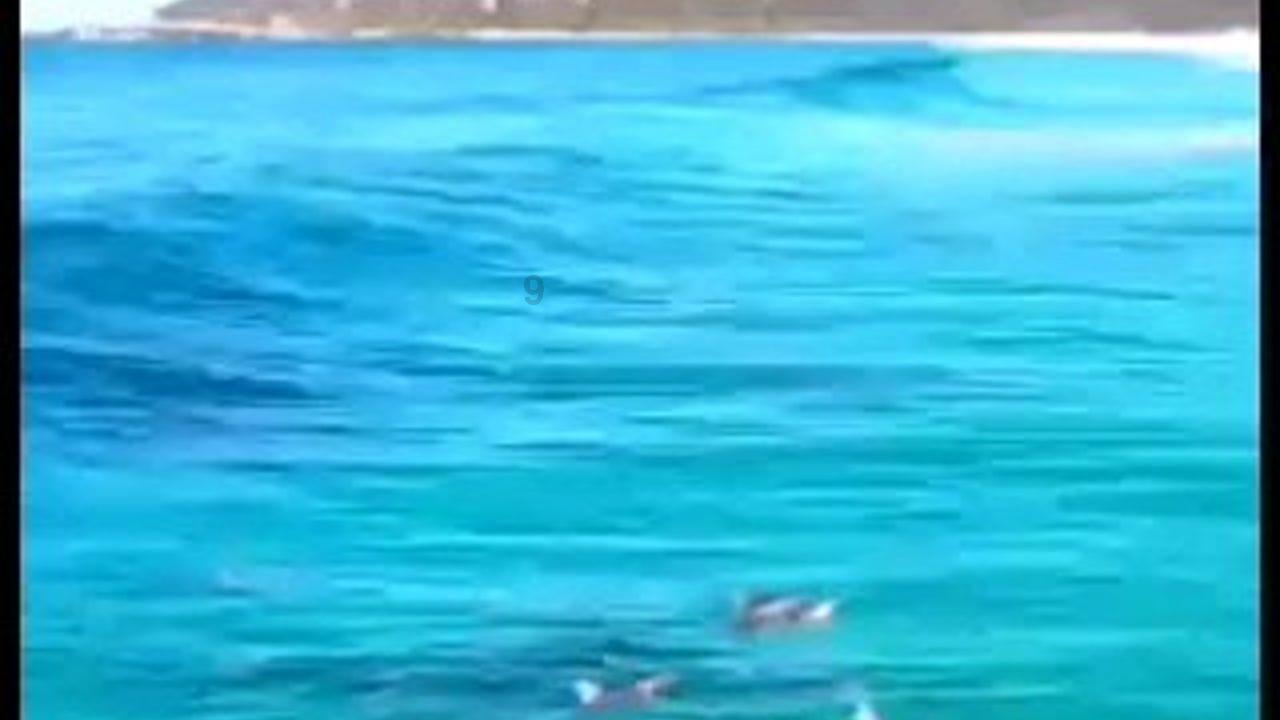 绝地求生坦克版