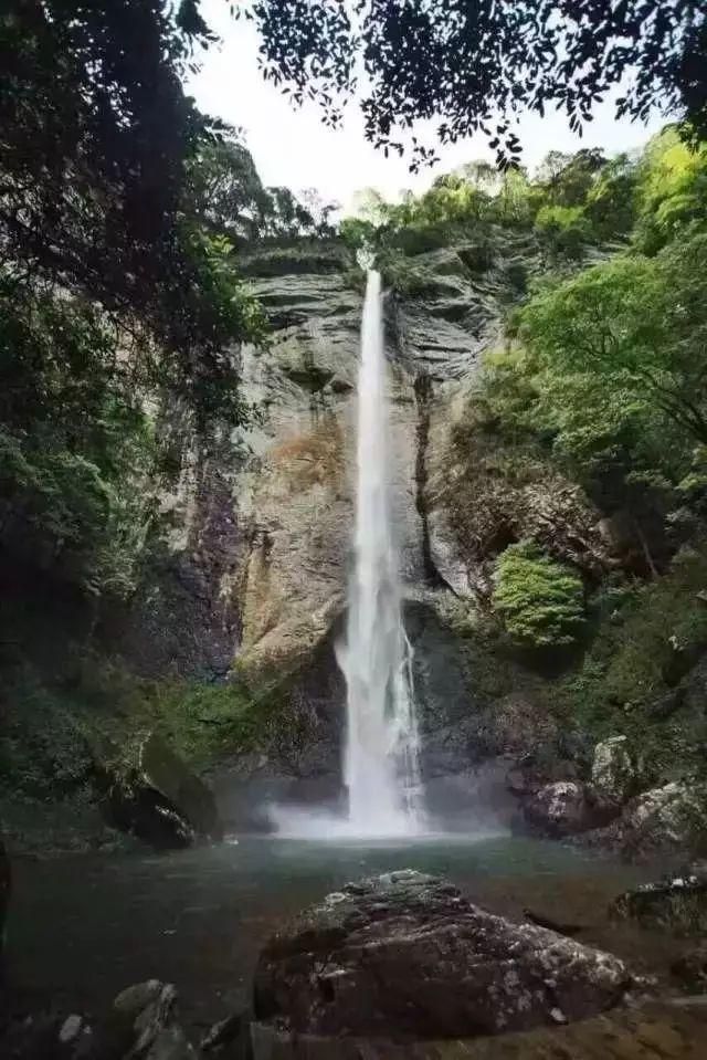 乙肝病毒携带者什么情况下，需要接受治疗？游戏画面
